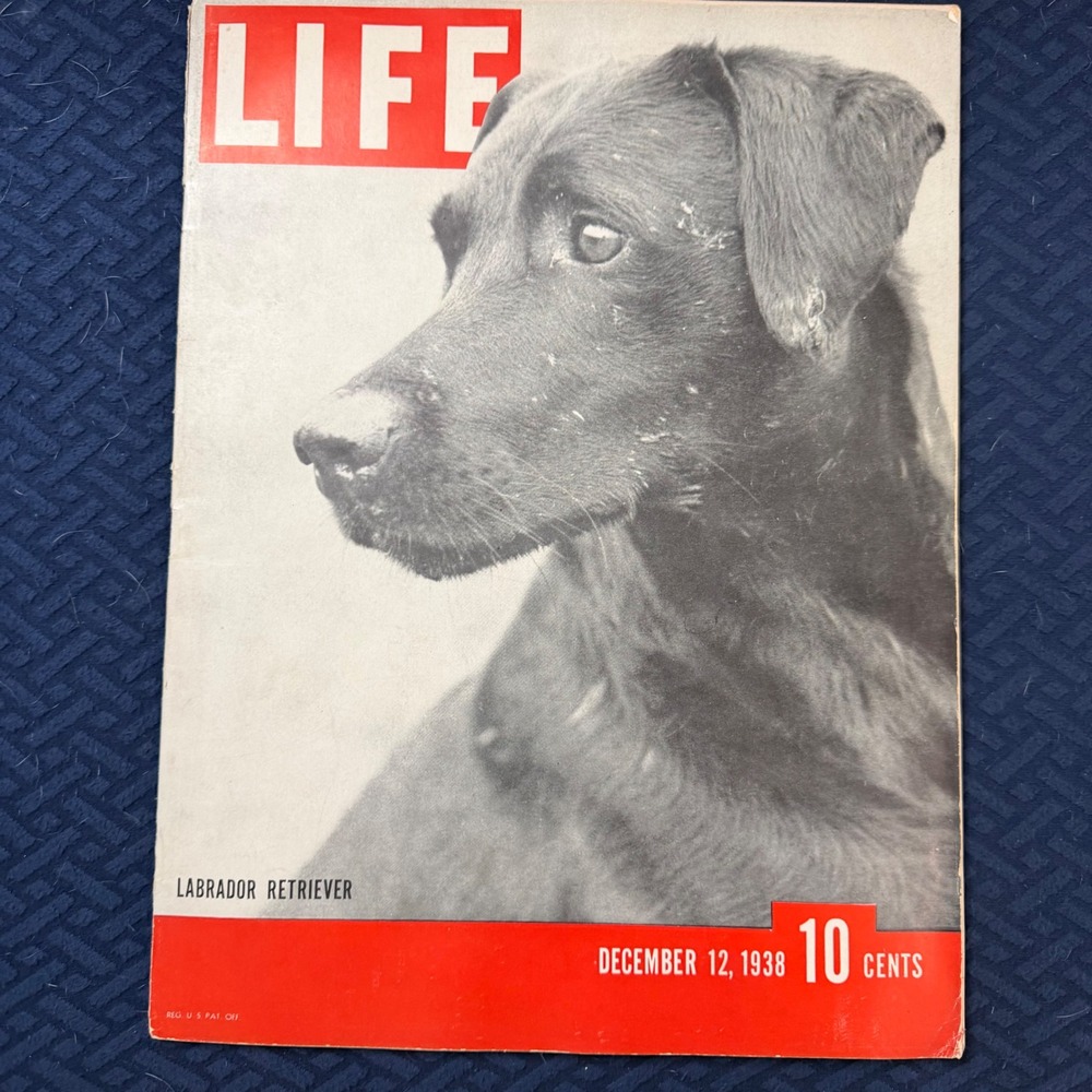 Vintage LIFE Magazine December 12 1938 Labrador Retriever Dog Cover Lucky Strike